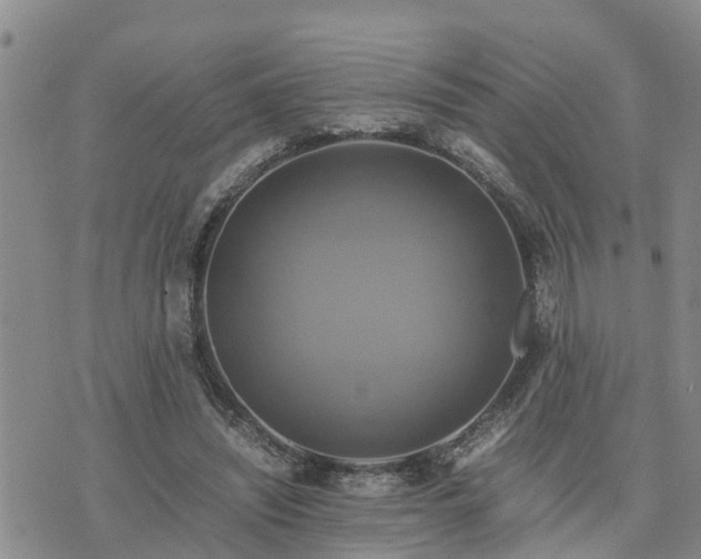 X0000075860444200609221759