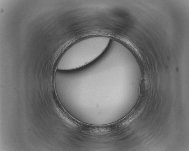 X0000075860445200609221759