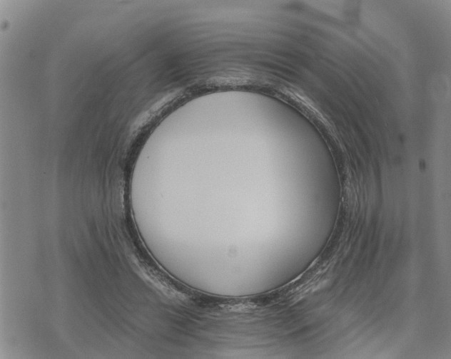 X0000075860446200609221759