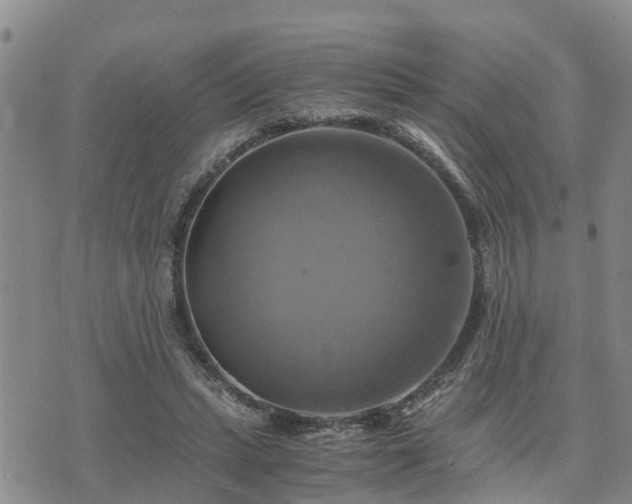 X0000075860447200609221759