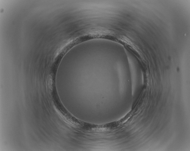 X0000075860448200609221759