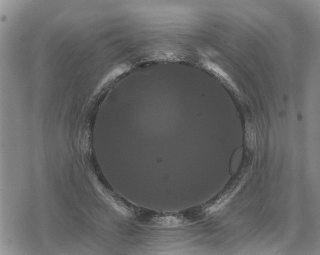 X0000075860449200609221759