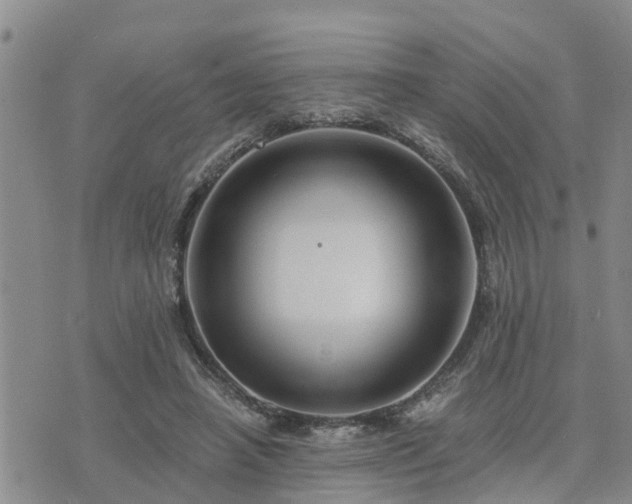 X0000075860450200609221800