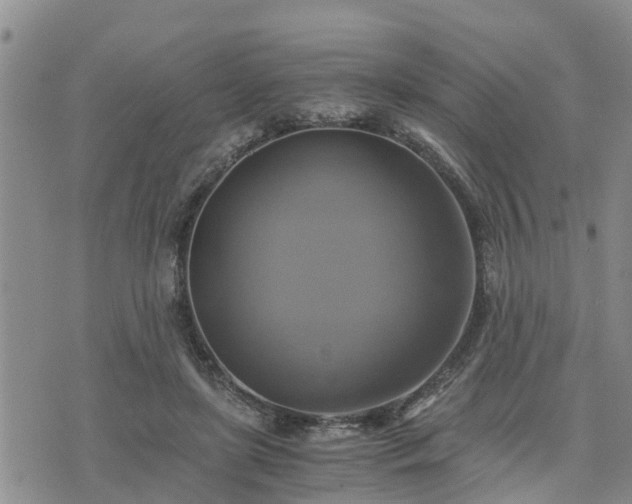 X0000075860451200609221800