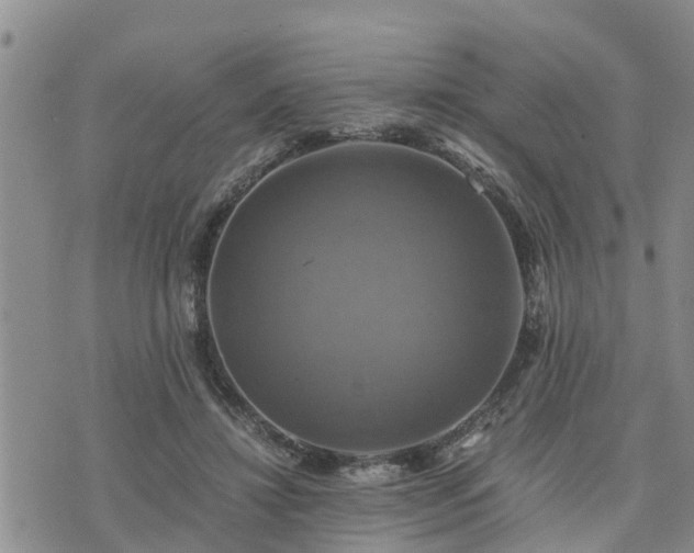 X0000075860452200609221800