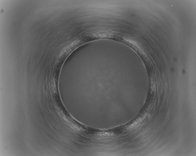 X0000075860453200609221800