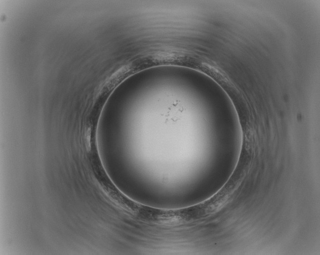 X0000075860454200609221800