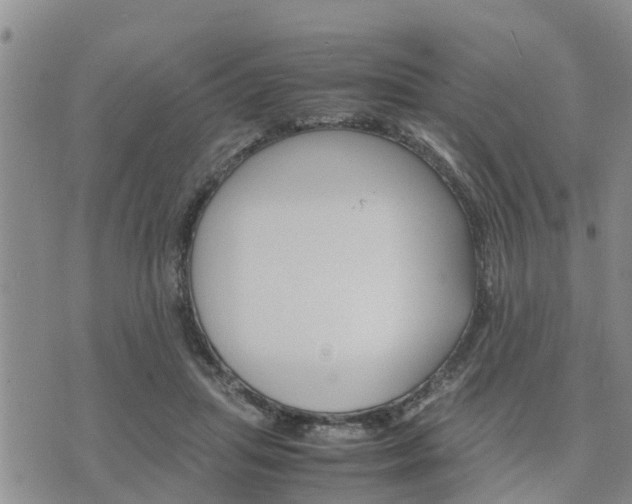 X0000075860455200609221800