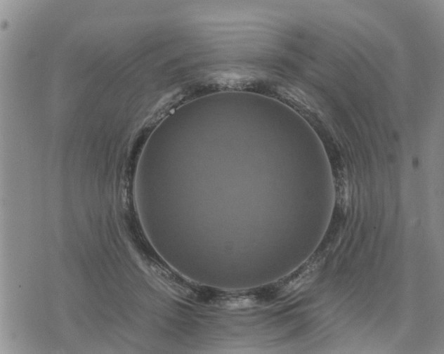 X0000075860456200609221800