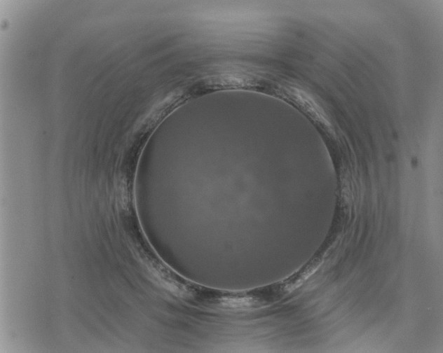 X0000075860457200609221800