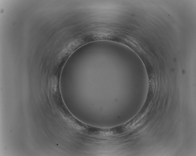 X0000075860458200609221800