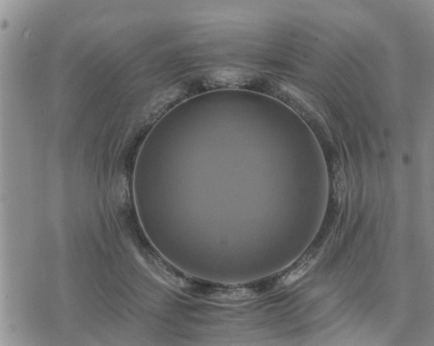 X0000075860459200609221800