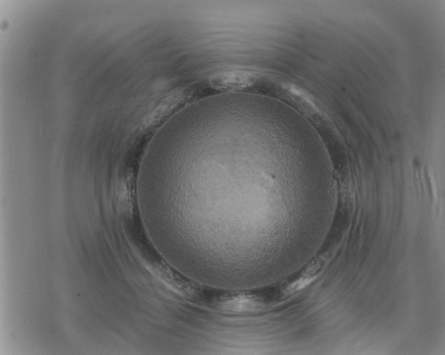 X0000075860460200609221800