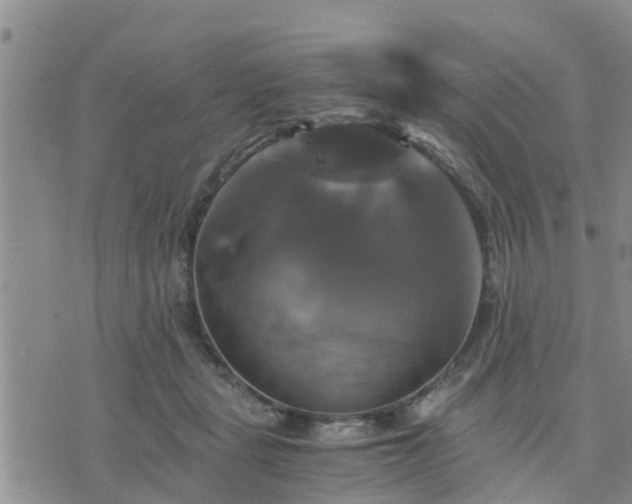 X0000075860461200609221800