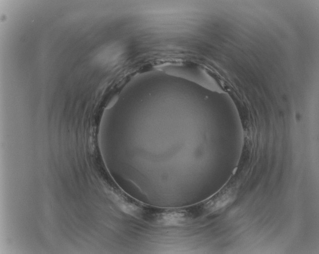 X0000075860462200609221800