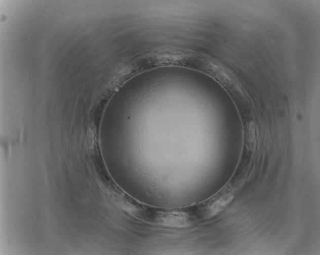 X0000075860463200609221800