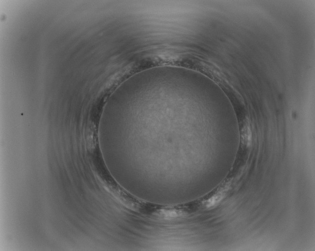 X0000075860464200609221800