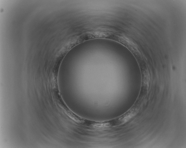 X0000075860465200609221800