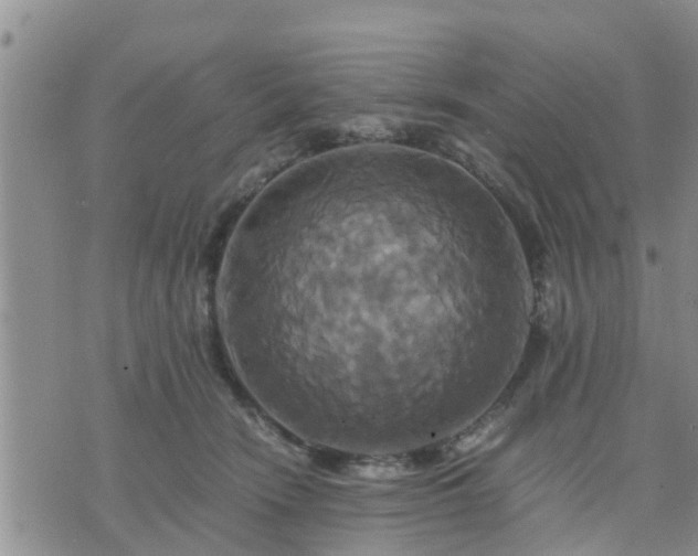 X0000075860466200609221800