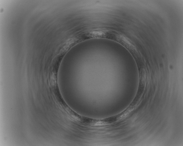 X0000075860467200609221800