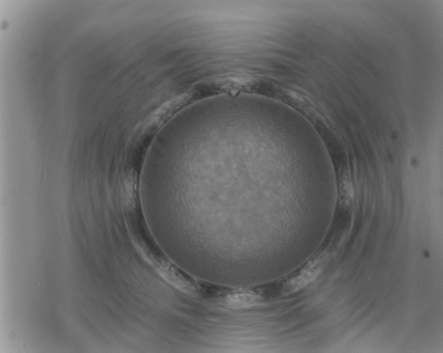 X0000075860468200609221800