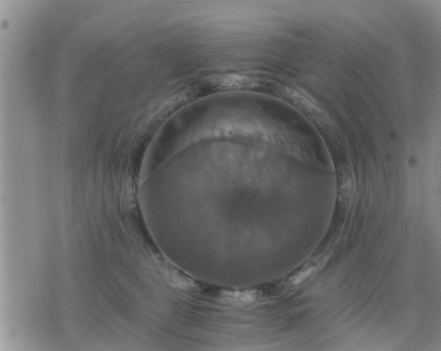 X0000075860469200609221800