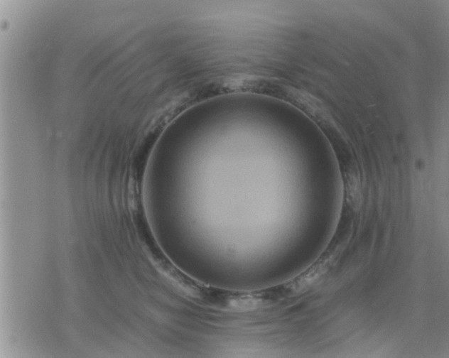 X0000075860470200609221800