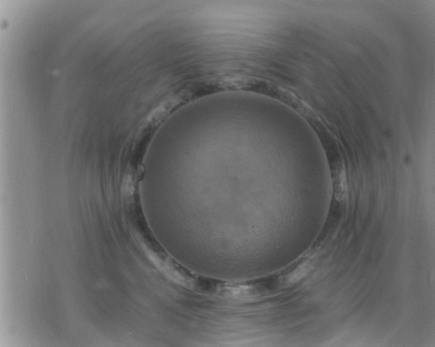 X0000075860472200609221800