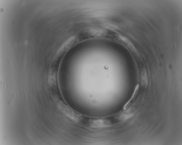 X0000075860473200609221800