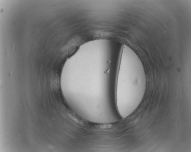 X0000075860474200609221800