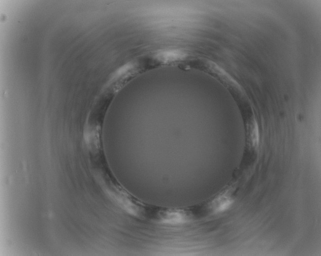 X0000075860475200609221800