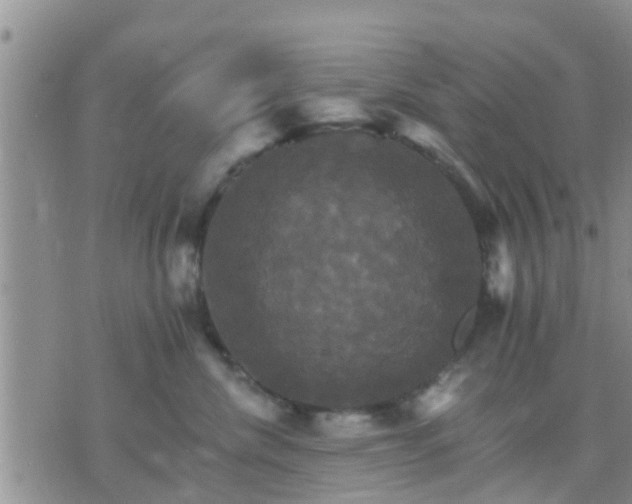 X0000075860476200609221800