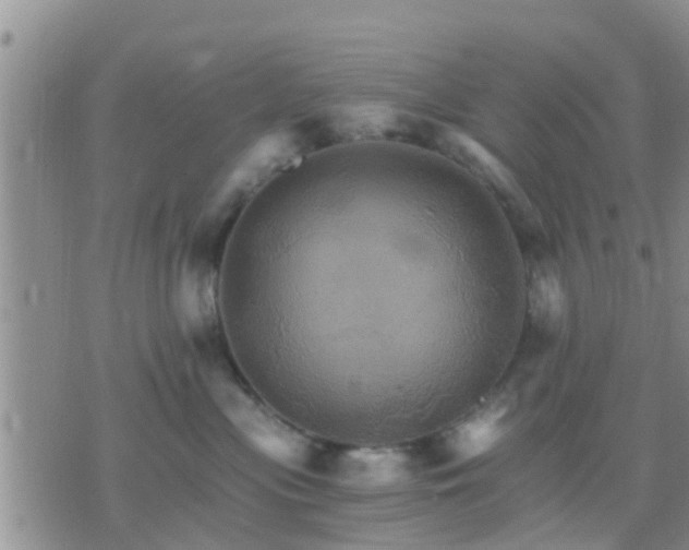 X0000075860477200609221800