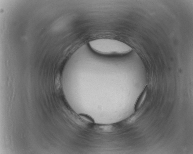 X0000075860478200609221800