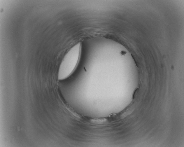 X0000075860480200609221800