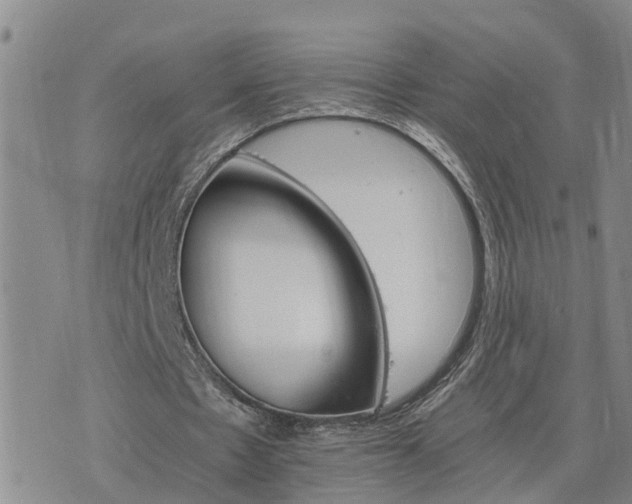 X0000075860481200609221759