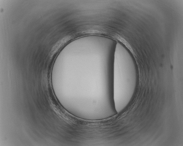 X0000075860482200609221759