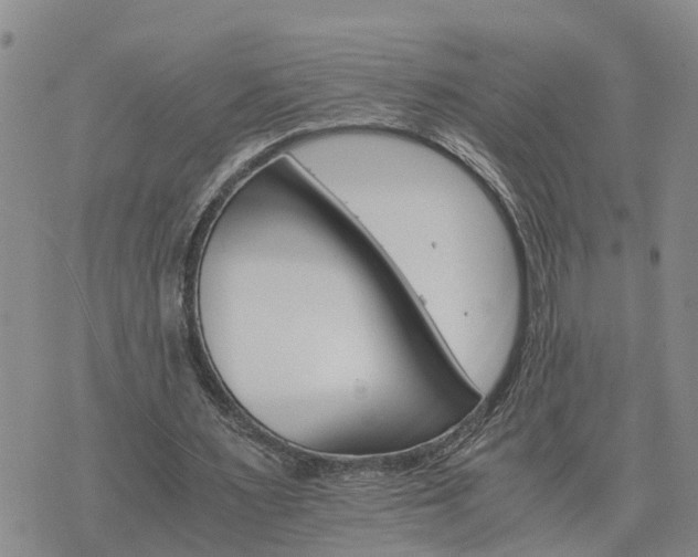 X0000075860483200609221759