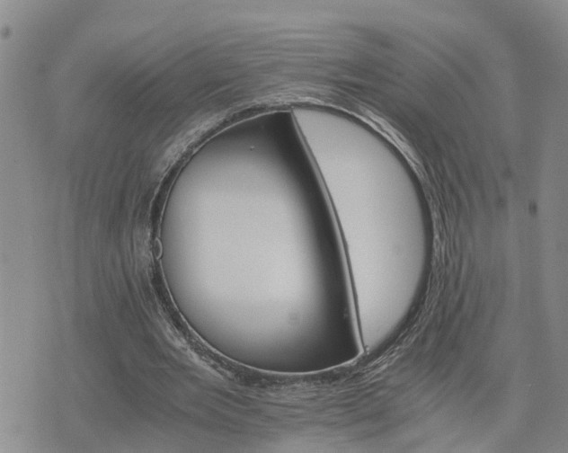 X0000075860485200609221759