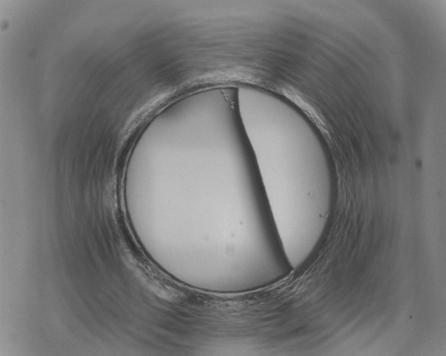 X0000075860486200609221759