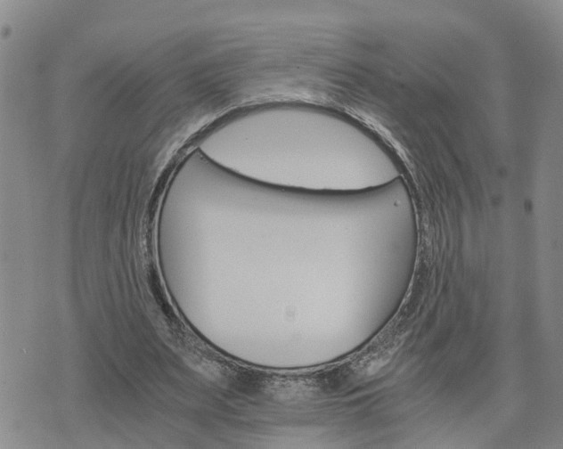 X0000075860487200609221759