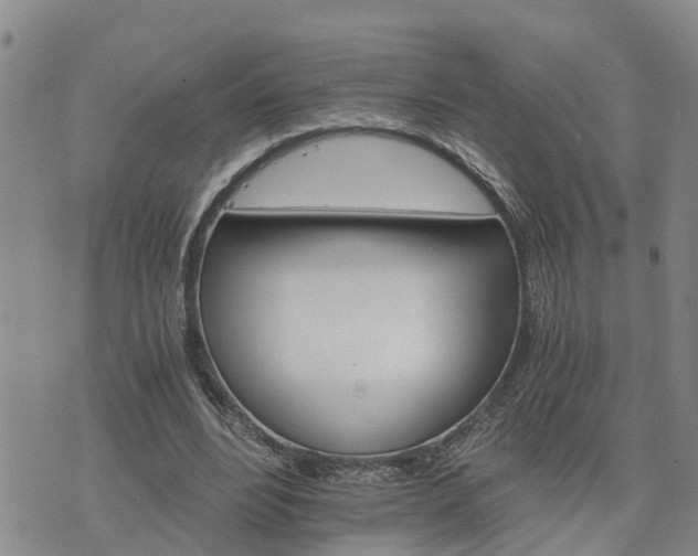 X0000075860488200609221759