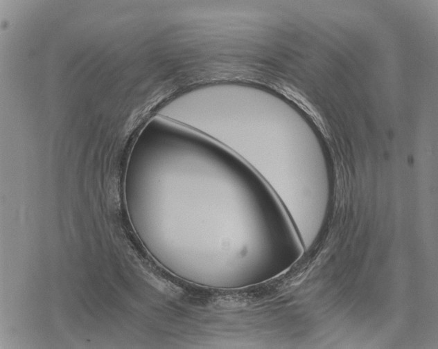 X0000075860489200609221759