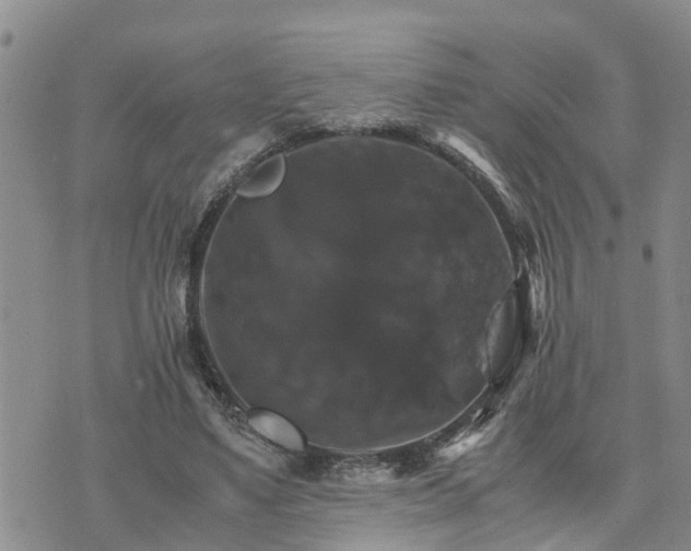 X0000075860491200609221759