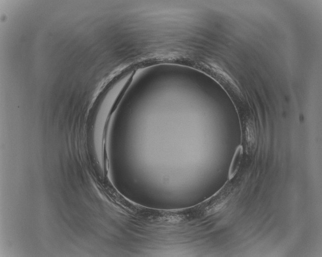 X0000075860492200609221759