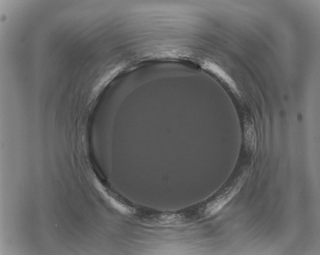 X0000075860493200609221759