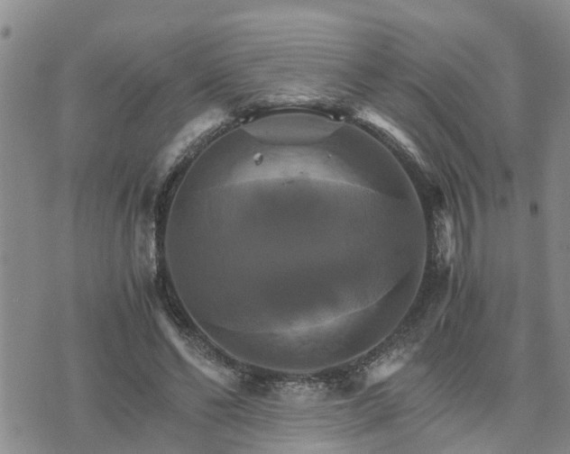 X0000075860494200609221759