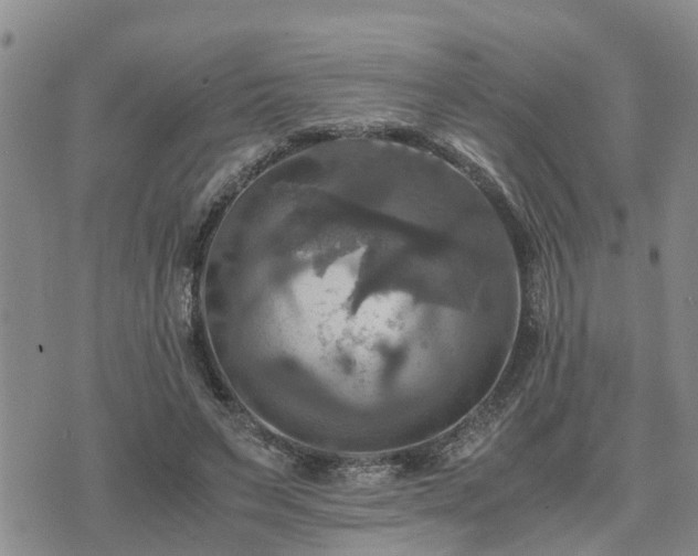 X0000075860495200609221759