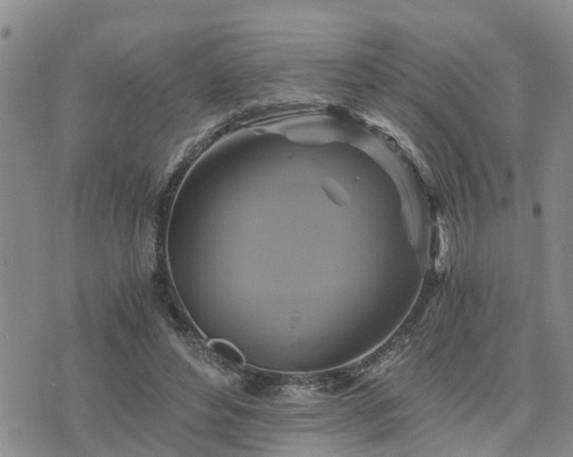 X0000075860496200609221759