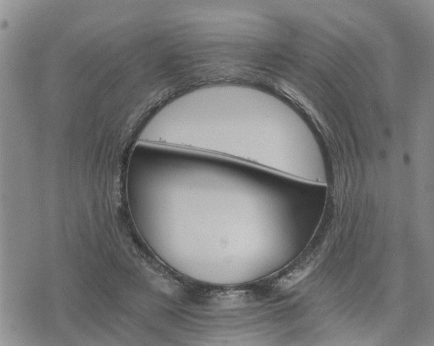 X0000075860497200609221759